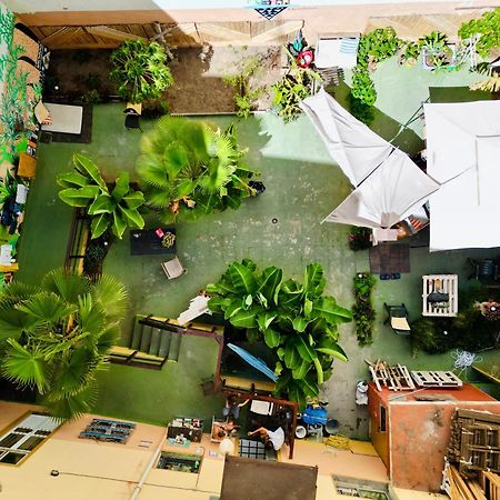 Jungle House Hostel Las Palmas Buitenkant foto