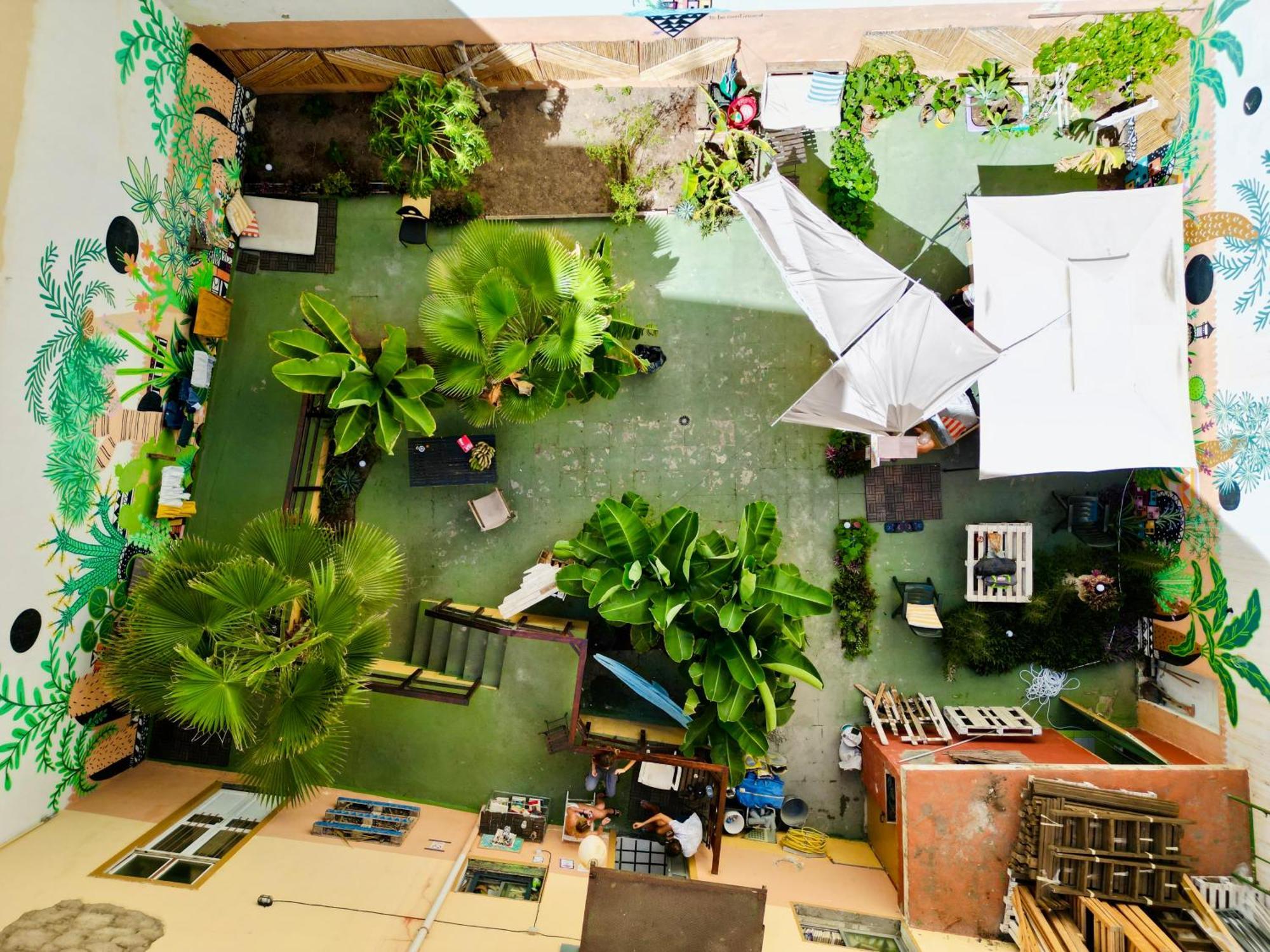 Jungle House Hostel Las Palmas Buitenkant foto